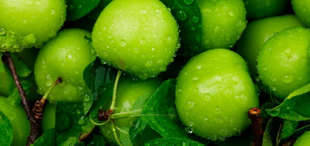 Fructose intolerance – the low-fructose diet…
