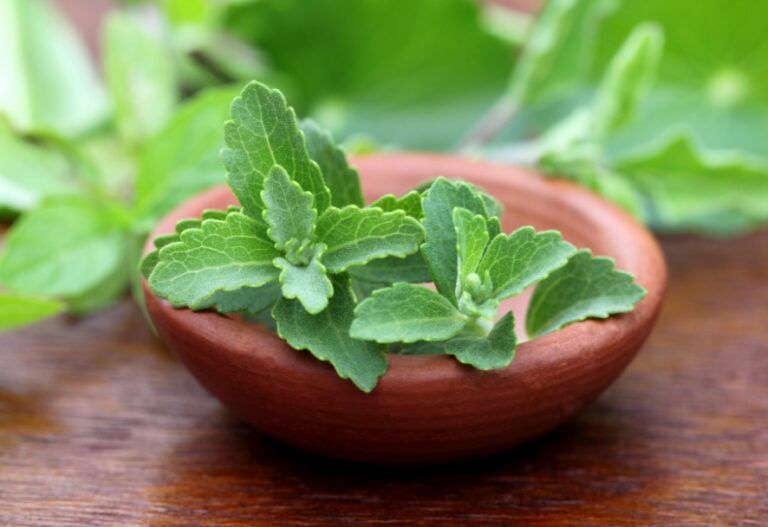 Top 5 substituts de sucre de nos aliments dans la boutique