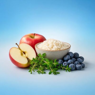 Low Histamine Foods