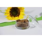 Xweet Biscotti al Cacao e Noci con Erythritolo — miniatura 2